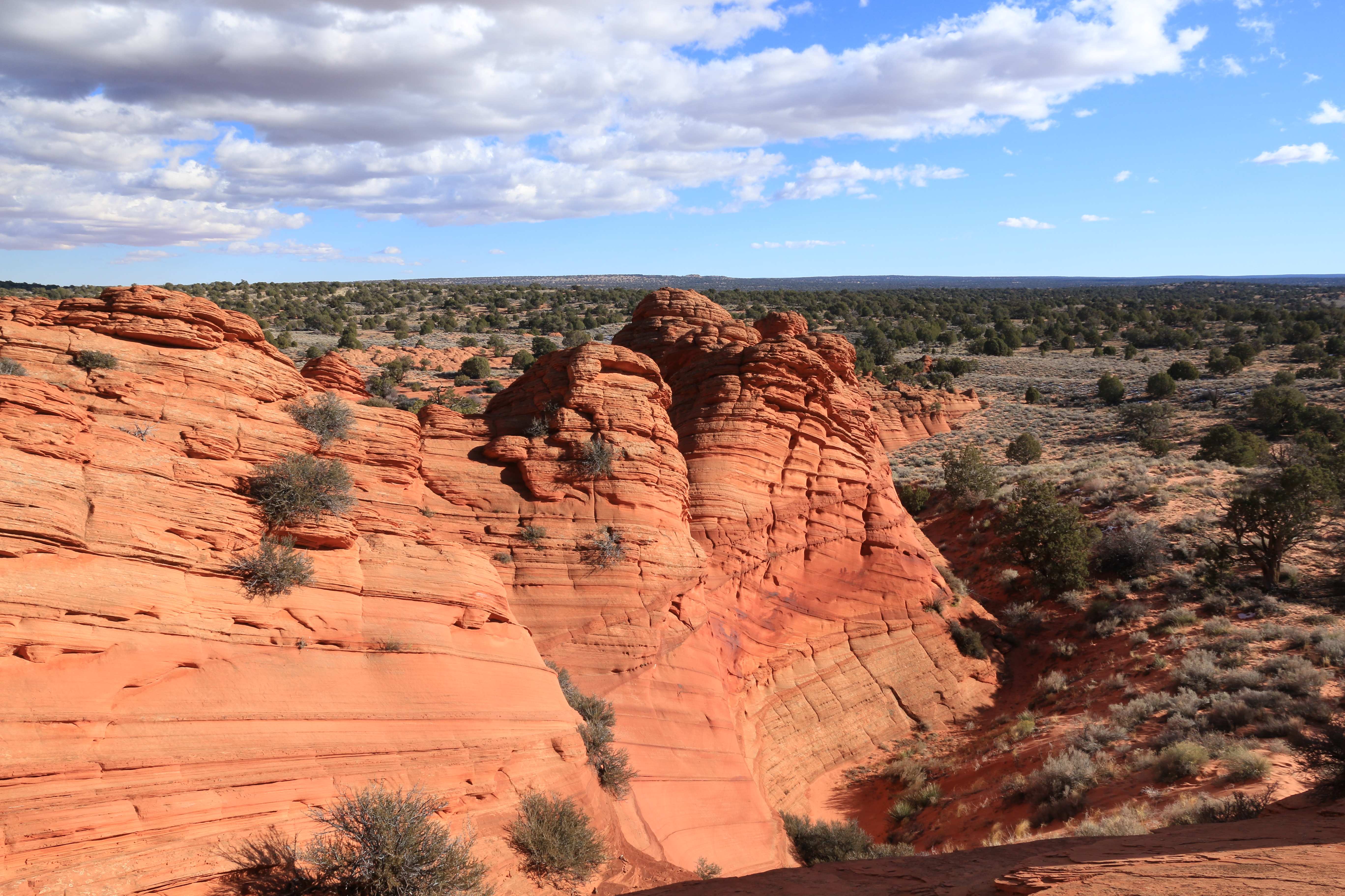 Coyote Buttes